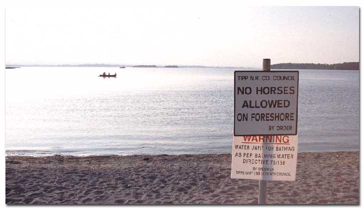 No Horses allowed on the beach